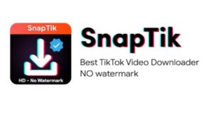 How to maximize your TikTok content with Snaptik's video and audio downloading capabilities