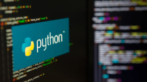 Python development in 2024